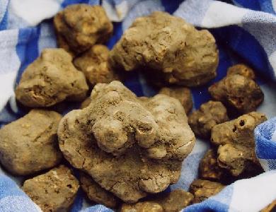 Gratta il tartufo finchè vuoi