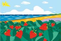 Giornate della Fragola 2012