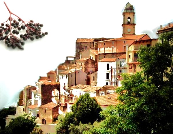 Sagra del Sambuco 2012
