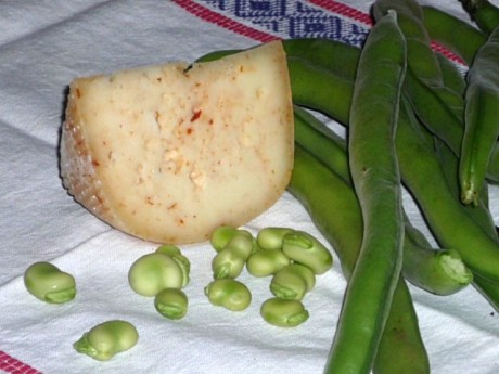 Sagra delle Fave col Pecorino Romano