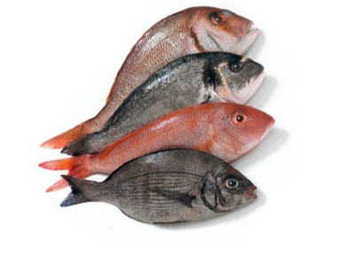 Pesce, scudo contro l'Alzheimer