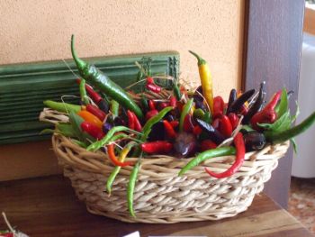 Peperoncini In Mostra