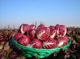 X Sagra del Radicchio