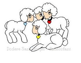 Adottare una pecora a distanza per fare pace con la natura