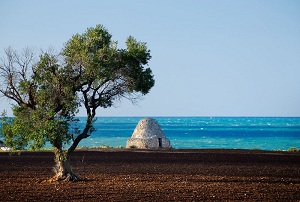 Puglia: 12 ristoranti in cui si mangia bene e si spende il giusto