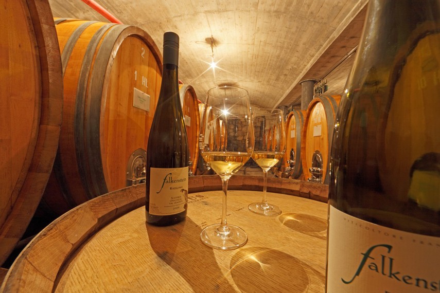 Vino in festa