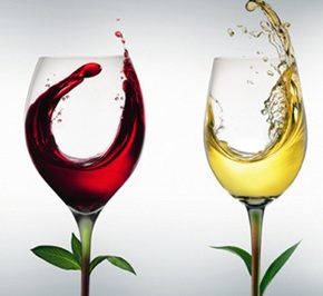  Vinissage. Mercato del vino biologico biodinamico e naturale