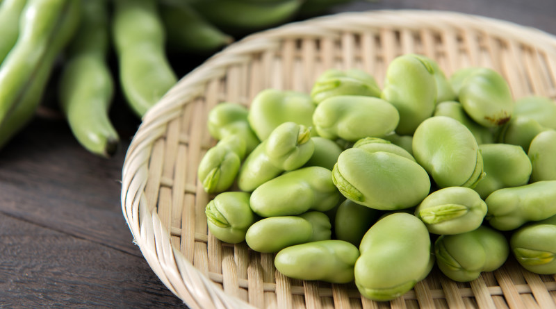 Nuovo presidio Slow Food Fava di Fratte Rosa