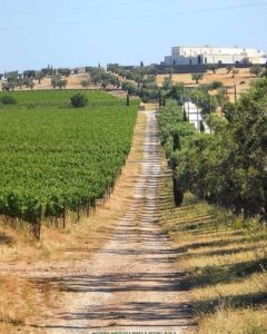 Masseria Amastuola