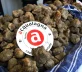 Fiera Internazionale del Tartufo Bianco di Acqualagna: al via la sessantesima edizione
