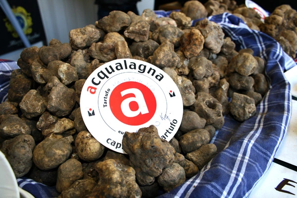 Fiera Internazionale del Tartufo Bianco di Acqualagna: al via la sessantesima edizione