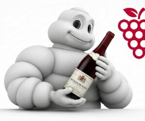 I Grappoli Michelin: la rossa dal 2026 giudicherà anche i vini.
