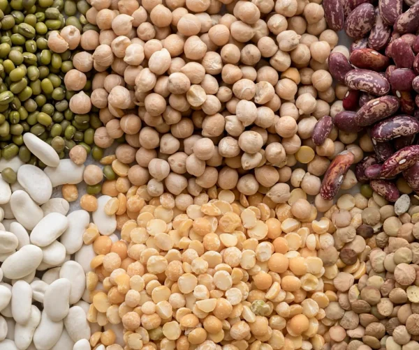 Giornata Mondiale dei Legumi: perché è importante celebrarla ogni 10 febbraio